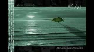 Deriva finita - Gianni Maroccolo feat. Cristiano Godano (MARLENE KUNTZ)