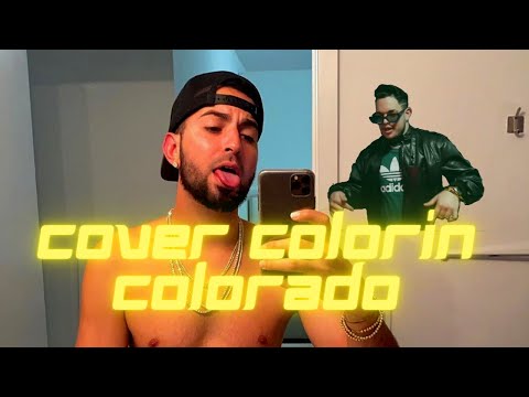 Justin Quiles - Colorín Colorado ( Cover by Sasi Vingut) / Popurrí Reguetón Antiguo.