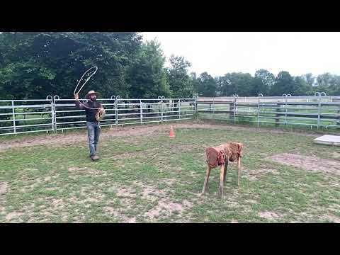 Ranch Roping Slow Motion Shot - Del Viento