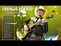 Caballo Dorado Exitos - Sus Mejores Canciones Caballo Dorado 2019