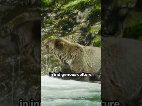 Would you visit Haida Gwaii?