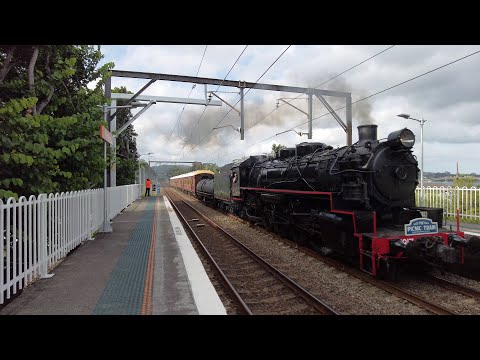 5917 at Point Clare. DJI Pocket 2