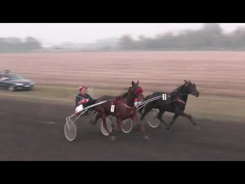 Trka "Labidoro Crown" 27.10.2019 Ranger Star - Jovica Dovijarski