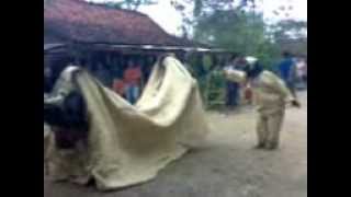 preview picture of video 'Kuda Lumping  Purwo Budoyo  Desa Peniron'