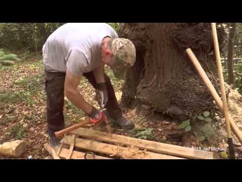 Bees in the heart of tree natural