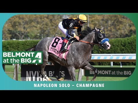 Napoleon Solo - 2025 - Champagne