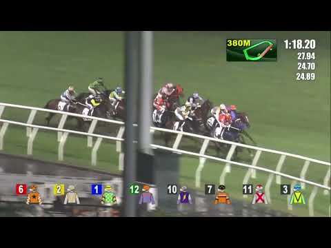 8/6/2022  日就月將  莫雷拉