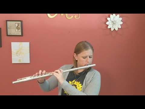 Wm. S. Haynes Q3 All Silver Flute-14k gold riser/C# trill key