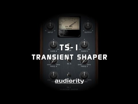 Free Download TS-1 Transient Shaper v1.3.1 macOS-SPTNDC