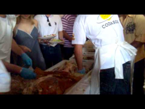 São Gabriel do Oeste-MS