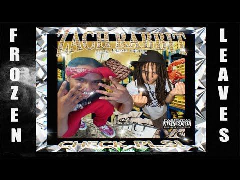 ✢ZACH RABBIT - CHECK PLS 🥩🥩🥩 FEAT DEAD HIPPIE (PROD. ZACH RABBIT)✢
