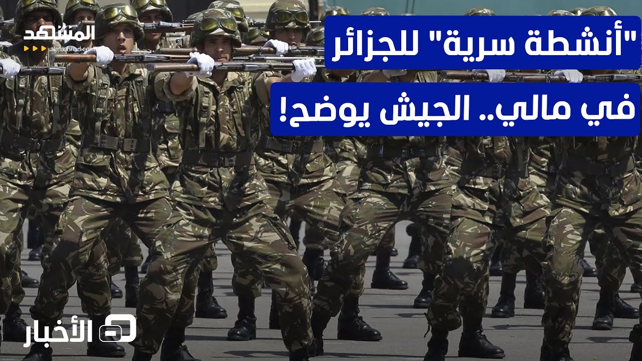 مجموعة مرتزقة للجزائر".. الجيش الجزائري يكشف الحقيقة! – نشرة اليوم