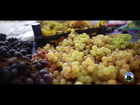 download lagu mp3 mp4 Feke Devlet Hastanesi Doktorlar, download lagu Feke Devlet Hastanesi Doktorlar gratis, unduh video klip Feke Devlet Hastanesi Doktorlar