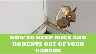 How to Keep Mice and Rodents Out of Your Garage