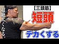 【短頭】をデカくして腕を極太にする方法を解説します