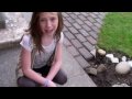 Dont Be A Bully Brittani Taylor
