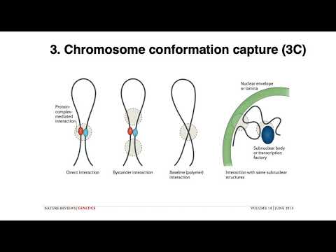 MCB 182 Lecture 3.4 - Genome assembly - Scaffolding contigs