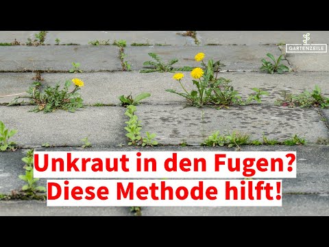 Unkraut in Fugen bekämpfen - das hilft wirklich dauerhaft!
