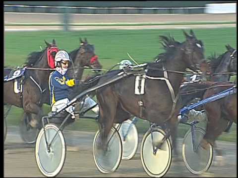 Trotto 23/10/2016 - 8ª corsa