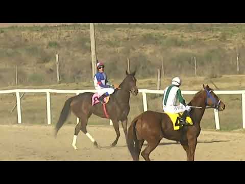 SINT FLORIDA - 220630 c08 1° LOGARITMICA