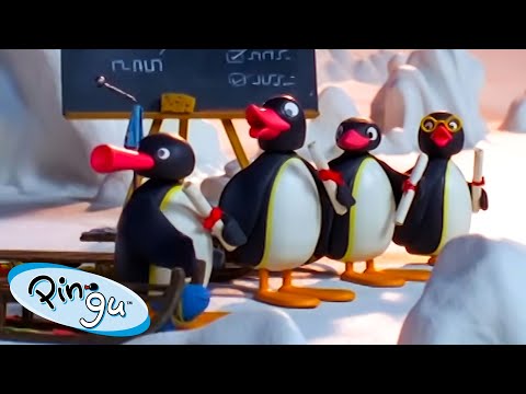 Pingu Likes School 🐧 | Pingu – Official Channel | Cartoons For Kids - Kids (0-4), Kingdom Kids Zone - Pingu - Official Channel