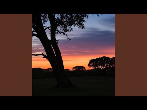 The Distance in a Crowded Room