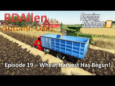 Wheat Harvest has Begun! | E19 Autumn Oaks | Farming Simulator 19