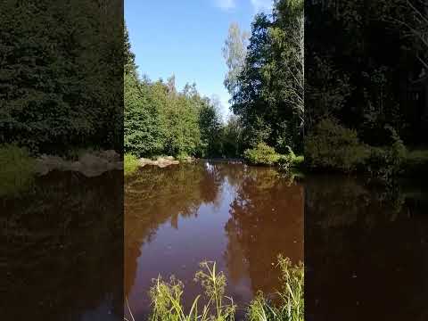 Pattijoen silta, museosilta 27.7.2023 Pattijoki, Raahe, Suomi / Finland