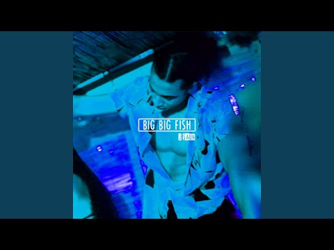 Big Big Fish (feat. Quin Nfn)