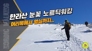 한라산 눈꽃 노르딕워킹