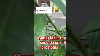 como fazer o suco da ora pro nóbis #emagrecimento #shorts #saudavel