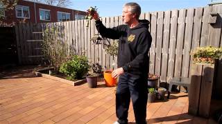 KendAlex // TTT // Pro GT X Sweets setups