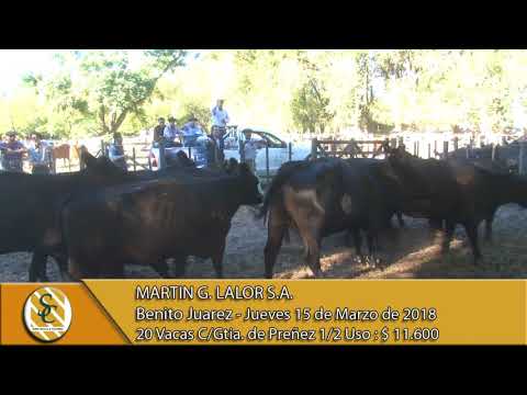 15-03-18 Venta de Vientres - Martin G. Lalor S.A. - Benito Juarez.