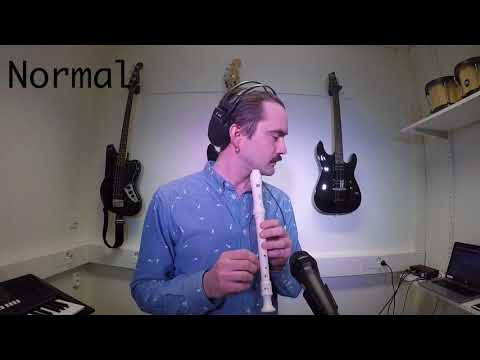 Björnen sover på blockflöjt (How to play recorder)