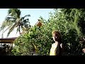 Jhené Aiko None Of Your Concern Official BTS