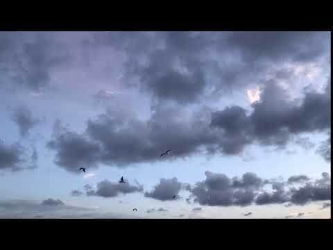 Fluffy clouds blow in almost every evening around sunset and you can spot several different types of birds in the area, this is one of the best times to bird watch.