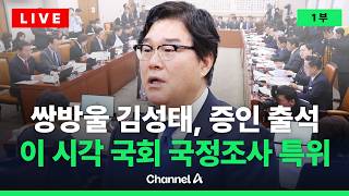 [????라이브를 켜라] [LIVE] '대북 송금' 김성태, 증인 출석…이 시각 국정조사 종합청문회 / 채널A