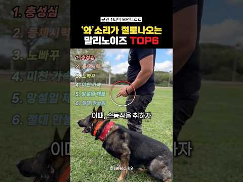 와 소리가 절로나오는 말리노이즈Top6#랭킹쇼츠