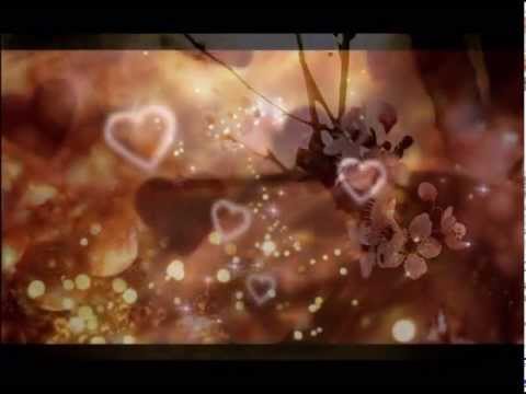 Сүрэнлхам   Хайраар чамайгаа чимэлгүй л яахав дээ