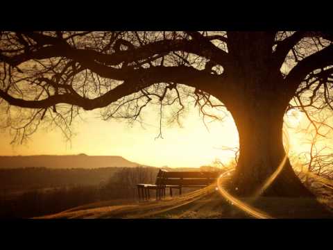 Daddy's Groove vs Avicii & Nicky Romero- I Could Be Stellar (LarsM Club Bootleg) (Preview)