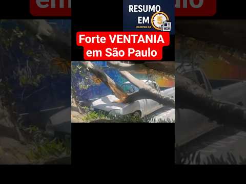 VENTANIA em São Paulo #SãoPaulo #Ventania #TemporalSP