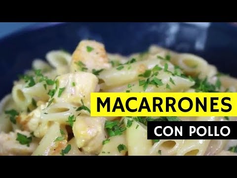download lagu mp3 mp4 Pollo Con Macarrones Y Queso, download lagu Pollo Con Macarrones Y Queso gratis, unduh video klip Pollo Con Macarrones Y Queso