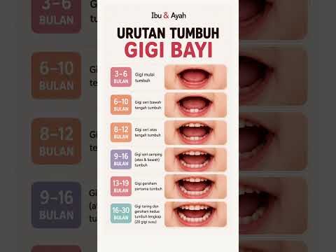 Bayi Kamu Sudah Tumbuh Gigi Belum? Ini Urutan Tumbuh Gigi Bayi dari 3 Sampai 30 Bulan #ibudanayah