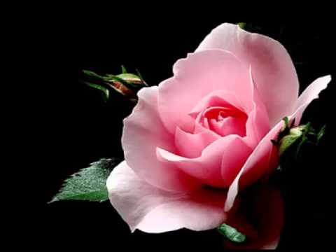 Rade Mladenović - Emina