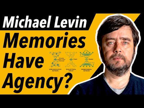On Memory as a Self-Adapting Agent