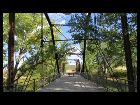 Jivin Scientists - Summers Day