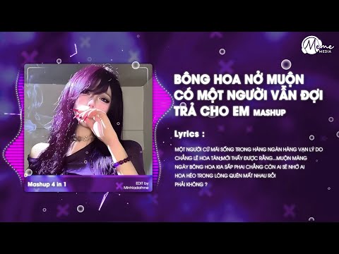 Mashup Bông Hoa Nở Muộn x Có Một Người Vẫn Đợi x Trả Cho Em Remix - Có Một Người Vẫn Đứng Đó Remix