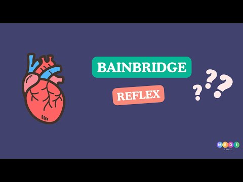 Bainbridge reflex