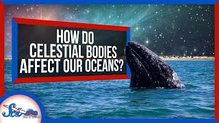 How Celestial Bodies Affect Life in the Ocean
