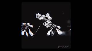 minnie’s lament - minnie riperton ♥︎